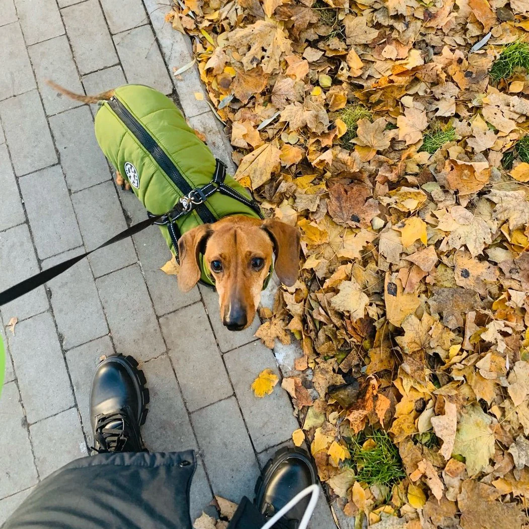 Rule Every Walk in Style
